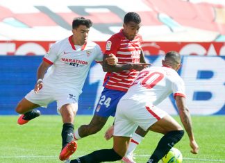 Yangel le da alas al Granada