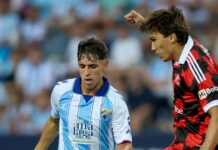 El Málaga eclipsa al Fulham en el Trofeo Costa del Sol El Málaga eclipsa al Fulham en el Trofeo Costa del Sol